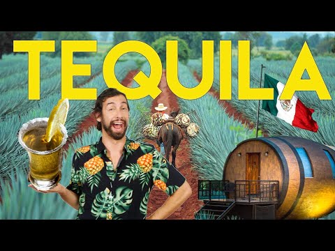 A HISTÓRIA DA TEQUILA no México