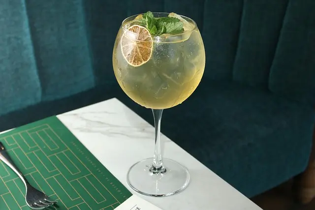 gin tônica Barman para Festas em SP